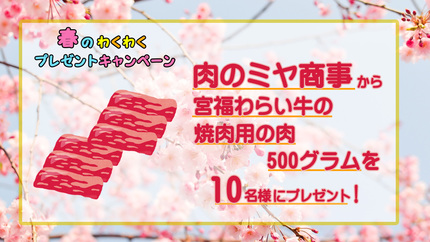 画像中央上