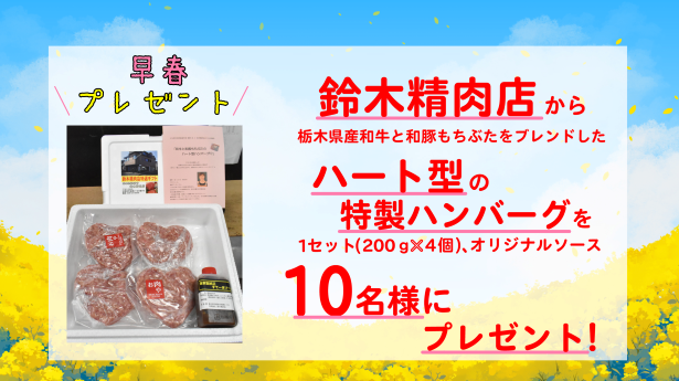 早春プレゼント　ハンバーグ